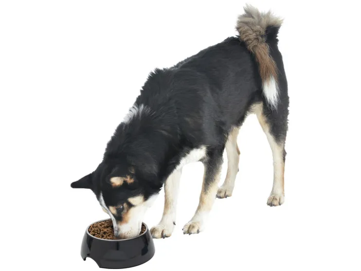 Voer- en drinkbak / schaalmat