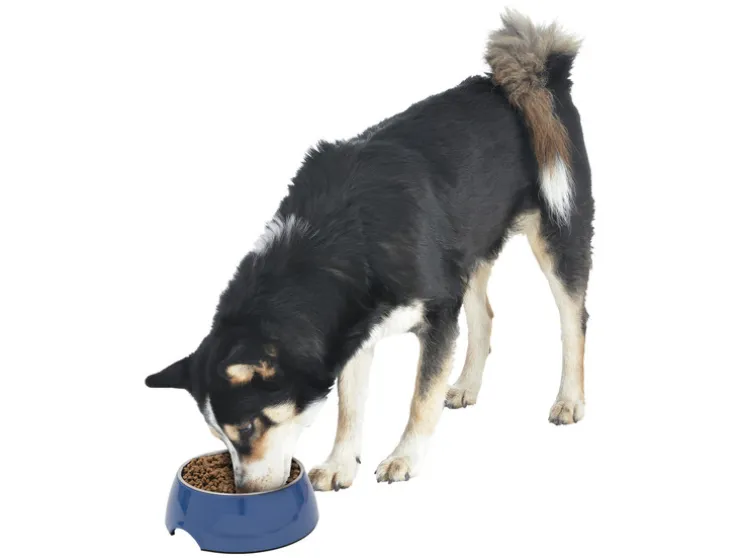 Voer- en drinkbak / schaalmat