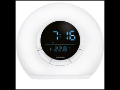 Wake up light met radio