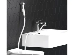 Wastafelsproeikop handdouche